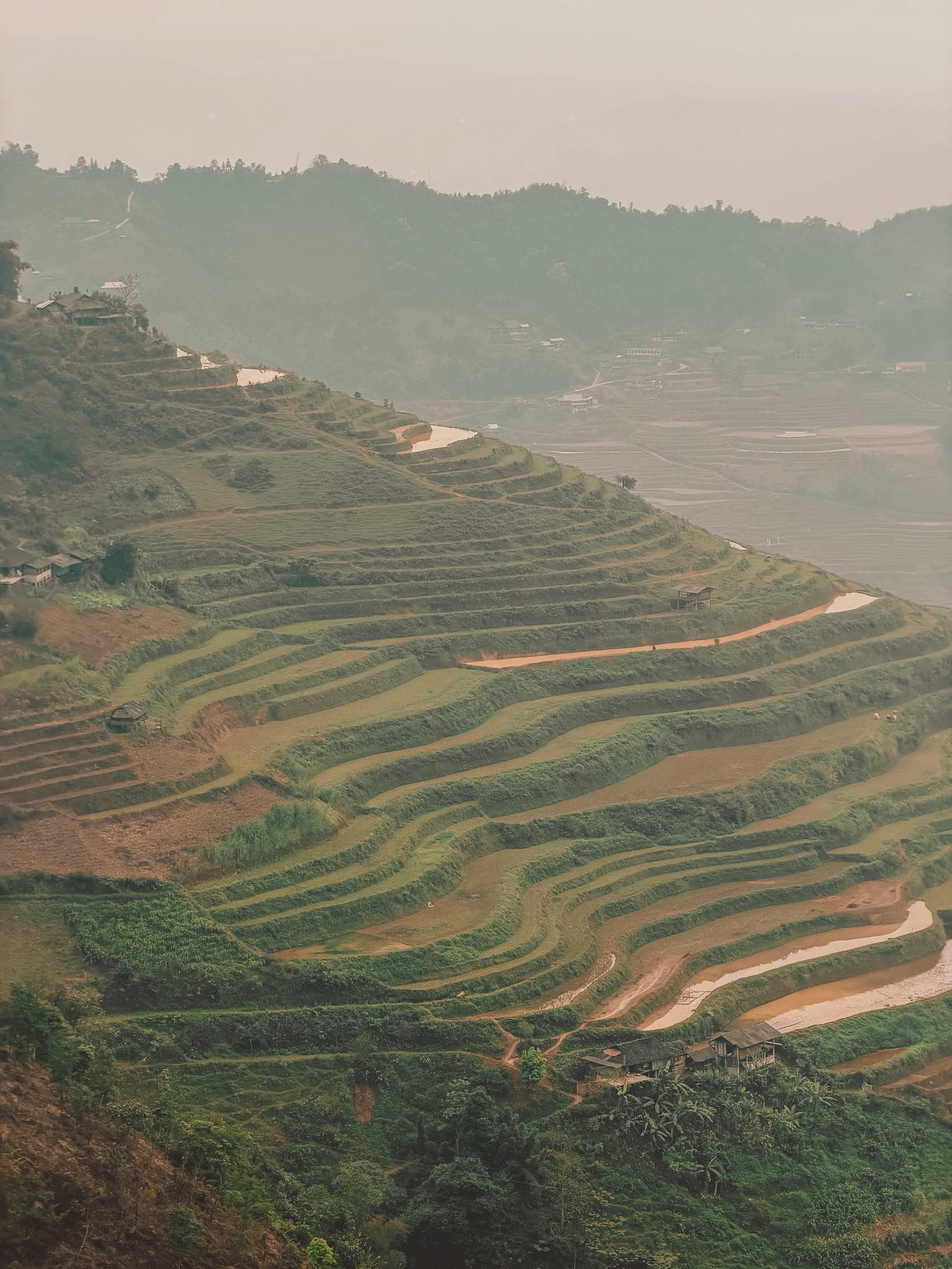 Best E-Bike Tour Ha Giang: The Most Epic Way to Conquer the Limestone Frontier